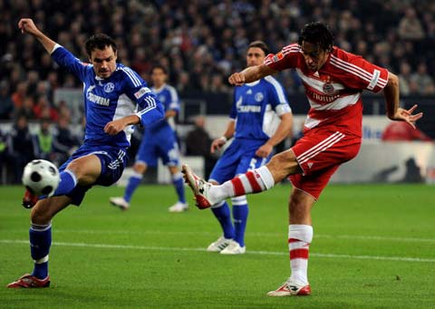 息的浙江队 息的浙江队